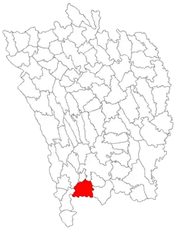 Location in Vaslui County