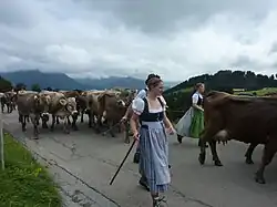 Image 19Seasonal migration to pasture (from Culture of Austria)