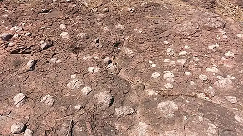 34°57′32.9″N 127°53′53.8″E﻿ / ﻿34.959139; 127.898278