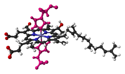 Heme a in cytochrome c oxidase, bound by two histidine residues (shown in pink)