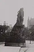 Close up image of the reduced stump in 1897