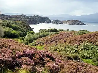 A view towards Dry Harbour