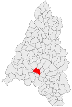 Location in Bihor County