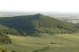 A small peak surrounded by fields and pine trees