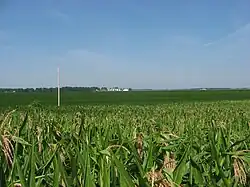 Fields in southeastern Goshen Township