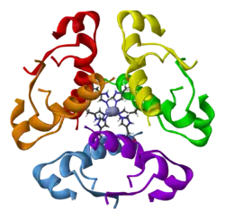 Insulin hexamer model with multiple colors