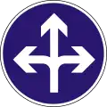 D-011 Proceed straight, turn left or right