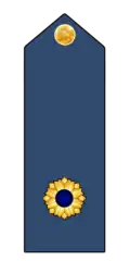 Lieutenant Colonel