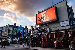 I Love You Alice B. Toklas from Counter Culture Rising, UK-wide, 2020