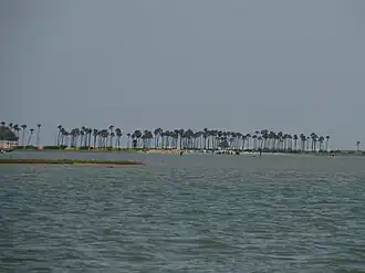 Palm trees lining the barrier islands
