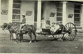 3-horse volante, 1899