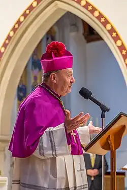 Archbishop Julian Porteous of Hobart wearing an amaranth biretta