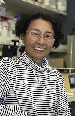 Keiko Ozato, Ph.D.