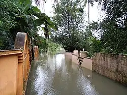 A street flooded in Kerala