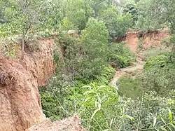 Khoai at Santiniketan