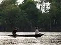 Canoeing on the Rio Urubu