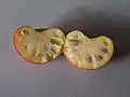 Fruit cut in half