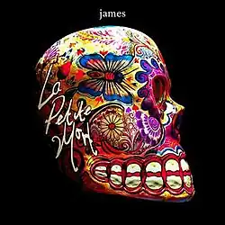 A sideways view of a skull with the album's title on the left-hand side of it