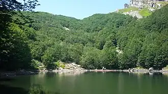 A body of water surrounded by greenery.