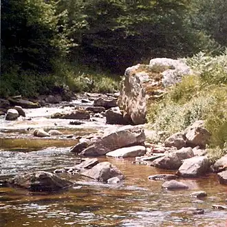 A river surrounded by rocks and trees.
