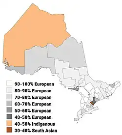 Largest panethnic groups in Ontario by percentage of total population by census division, 2021 census