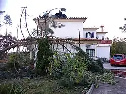 Color photograph of tree debris resting upon the roof of a residence
