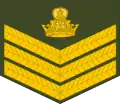 Staff sergeant (Lesotho Army)[30]
