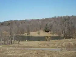 A pond near the summit of Bloss Mountain in Liberty Township
