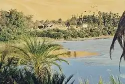 Some Aridisols are found in oases