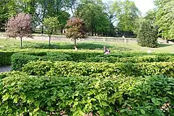 The hedge maze.