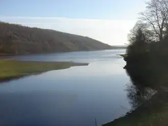 Image of a lake surrounded by trees