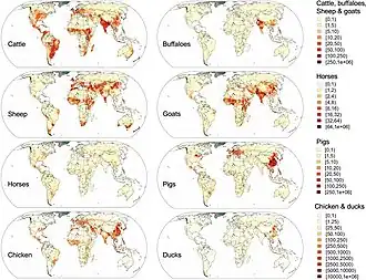 Image 37Global distribution data for cattle, buffaloes, horses, sheep, goats, pigs, chickens and ducks in 2010 (from Livestock)