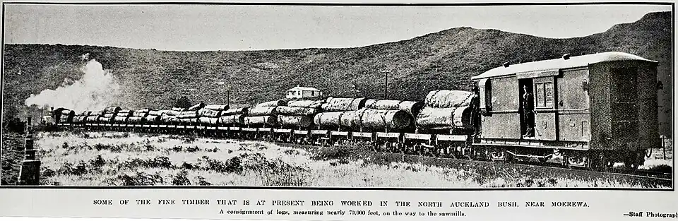 Log train near Moerewa in 1924