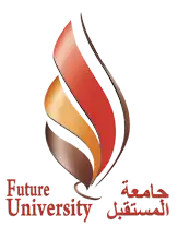 Future University official logo