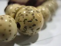 Lotus seed on a mala