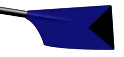 Image showing the rowing club's blade colours