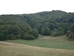Forest and meadows in Lyulin