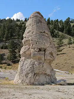 Liberty Cap