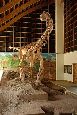 Malawisaurus (Malawi lizard) on display at the Cultural Museum Centre Karonga
