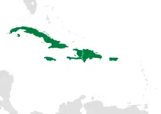 Map of the Greater Antilles, under direct Spanish rule as part of the Viceroyalty of New Spain.