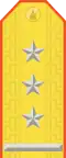 Parade uniform shoulder board (Colonel)