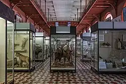 Upper exposition hall