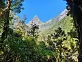 Looking up at Mount Balloon and McKinnon Pass from Milford Track near Quintin Lodge