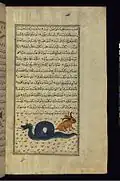The horned rabbit given by the inhabitants of Tannin Island to Alexander the Great, after he had slain the dragon living there: illustration from Walters manuscript W.659; 18th-century copy of a 13th-century text by Zakariya al-Qazwini