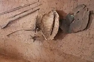 Sea turtle shell and hippopotamus skin