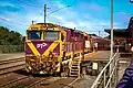 N Class locomotive N458 couples to carriages at Warrnambool.
