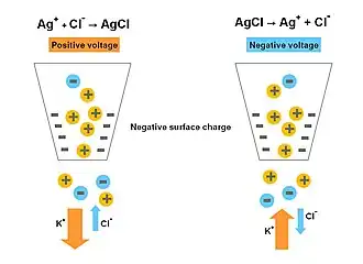 An ion-rectifying nano-pipet
