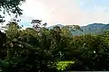Tropical rainforest scenery along State Route N14, Bukit Miku, Negeri Sembilan