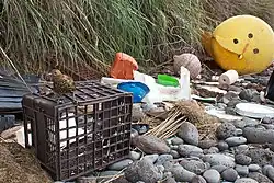 Image 21Marine debris strewn over the beaches of the South Atlantic Inaccessible Island (from Atlantic Ocean)