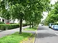 Ness Street, Riddrie (2011) Tree-lined streets, semi-detached homes